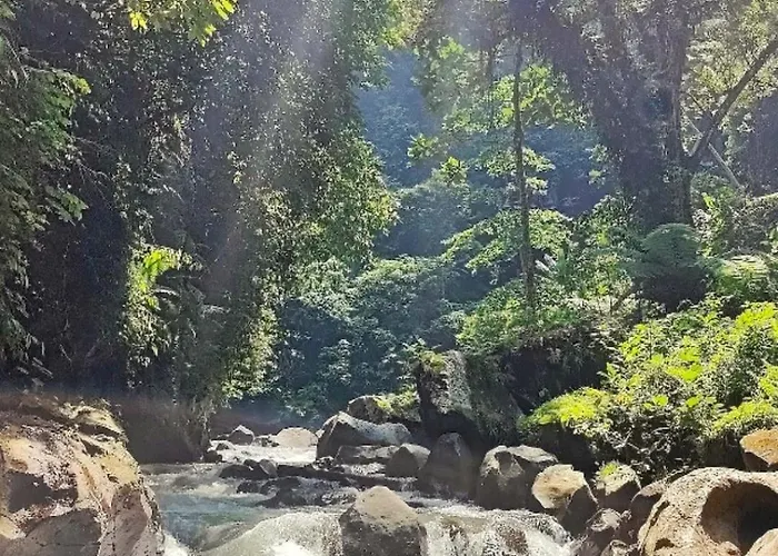 Superior One Bedroom W Stunning Waterfall View * ウブド